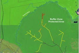 Image #3: Detection of New (Logging?) Roads in the Peruvian Amazon