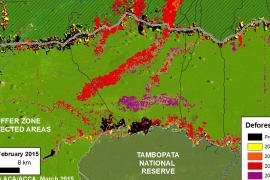 Imagen #1: La Deforestación por la Minería Aurífera Continúa su Expansión en La Pampa (Madre de Dios, Perú)