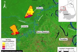 Imagen #4: Plantaciones de Palma Aceitera a Gran Escala Causan Deforestación del Bosque Primario en la Amazonía Peruana (Primera Parte: Nueva Requena)
