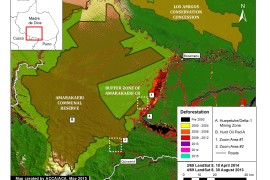 Image #6: Expanding Gold Mining Deforestation Enters Amarakaeri Communal Reserve (Madre de Dios, Peru)