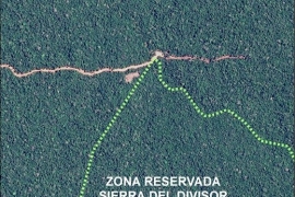 Image #15: Sierra del Divisor – New logging road threatens northern section of proposed national park
