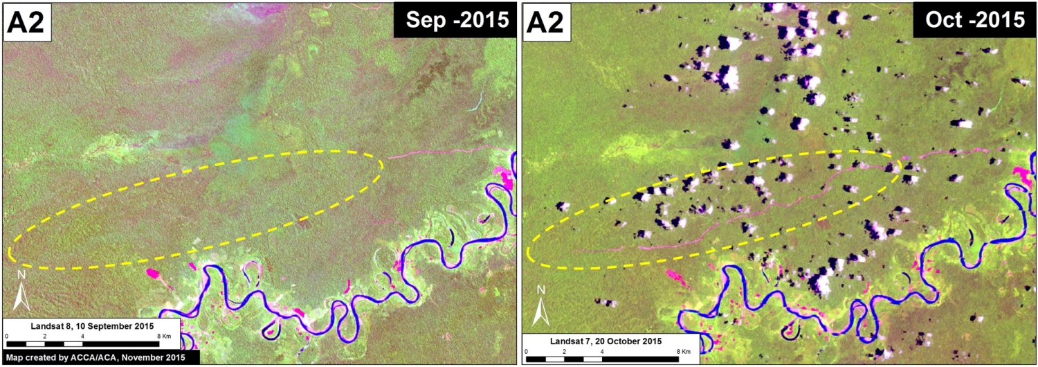 Image 18e. Rapid construction of a forest road in the southeast buffer zone of Cordillera Azul National Park. Data: USGS.