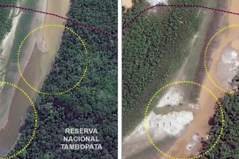 MAAP #21: Illegal Gold Mining Deforestation Enters Tambopata National Reserve (Madre de Dios, Peru) [High-Resolution View]