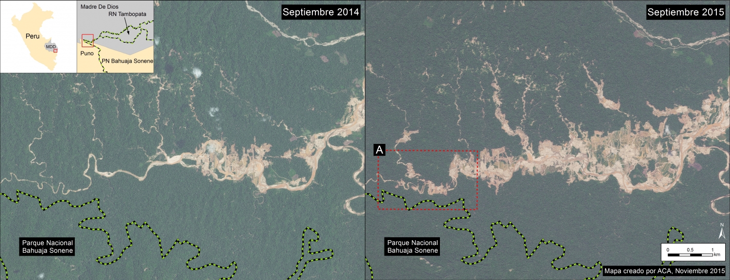 Imagen 19a. Deforestación de minería aurífera entre septiembre de 2014 y 2015 a lo largo del Rio Alto Malinowski. Datos: SERNANP, WorldView-2 de Digital Globe (NextView).