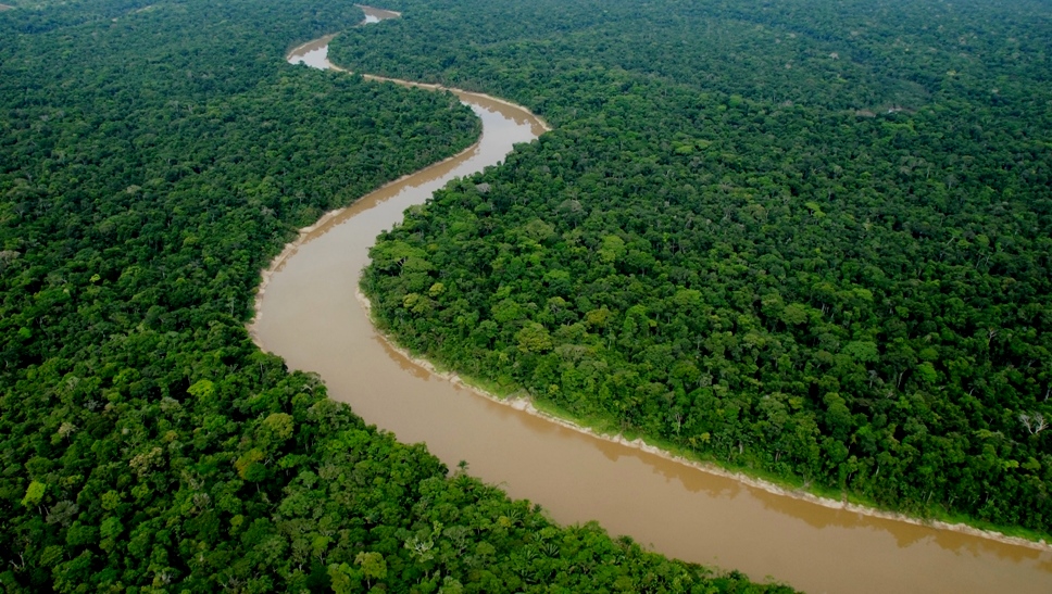 Image Xe. Aerial view of Yaguas River. Photo Credit: Alvaro del Campo (Field Museum)