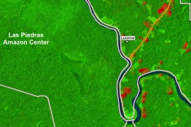 MAAP #23: La Deforestación Aumenta en el Río Las Piedras (Madre de Dios, Perú)
