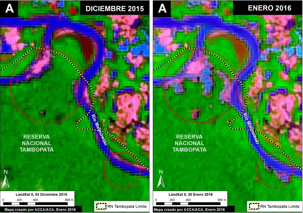 Imagen Xa. Imágenes Landsat mostrando la expansión de deforestación al interior de la Reserva Nacional Tambopata entre diciembre de 2015 (panel izquierdo) y enero de 2016 (panel derecho). Datos: USGS, SERNANP.
