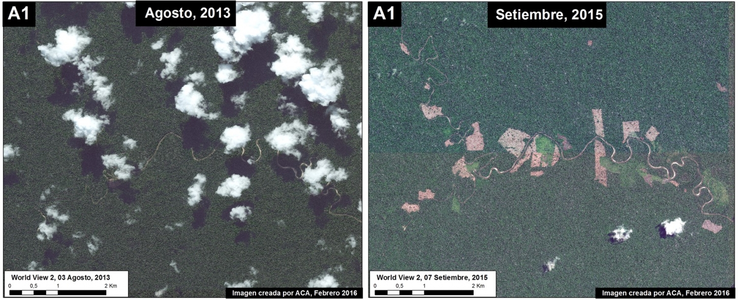 Image Xc. High-resolution view of area in Inset A1 before (left panel) and after (right panel) recent deforestation events. Data: WorldView-2 de Digital Globe (NextView).