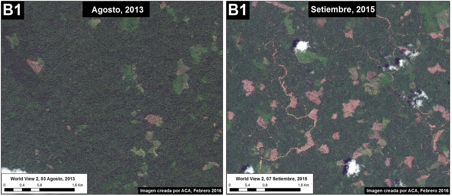 Imagen 26e. Vista de alta resolución de la zona en Recuadro B1 antes (panel izquierdo) y después (panel derecha) recientes eventos de deforestación. Datos: WorldView-2 de Digital Globe (NextView).