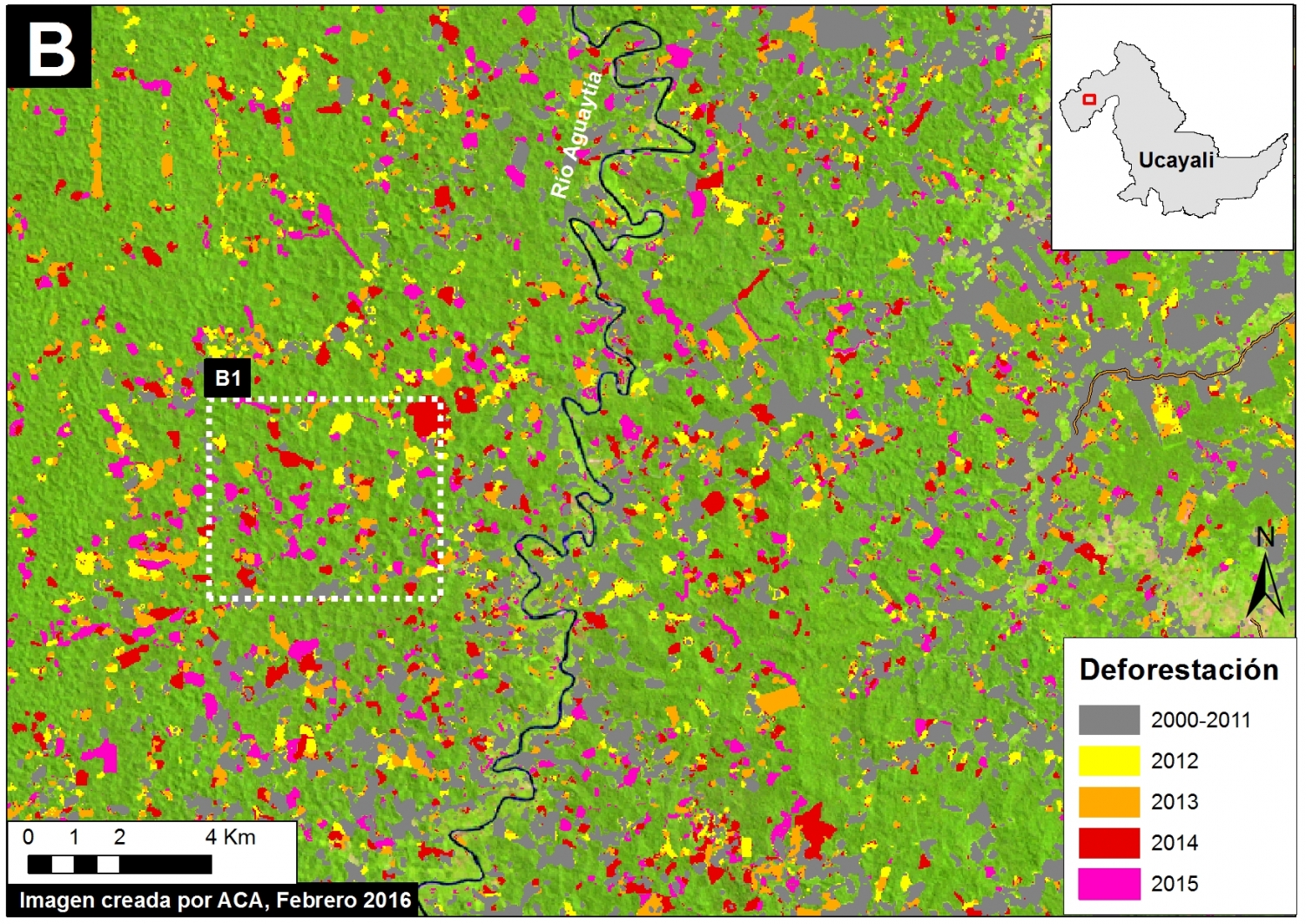 Imagen 26d. Deforestación reciente de la zona en Recuadro B de Imagen Xa. Datos: XX, PNCB/MINAM, Hansen/UMD/Google/USGS/NASA.
