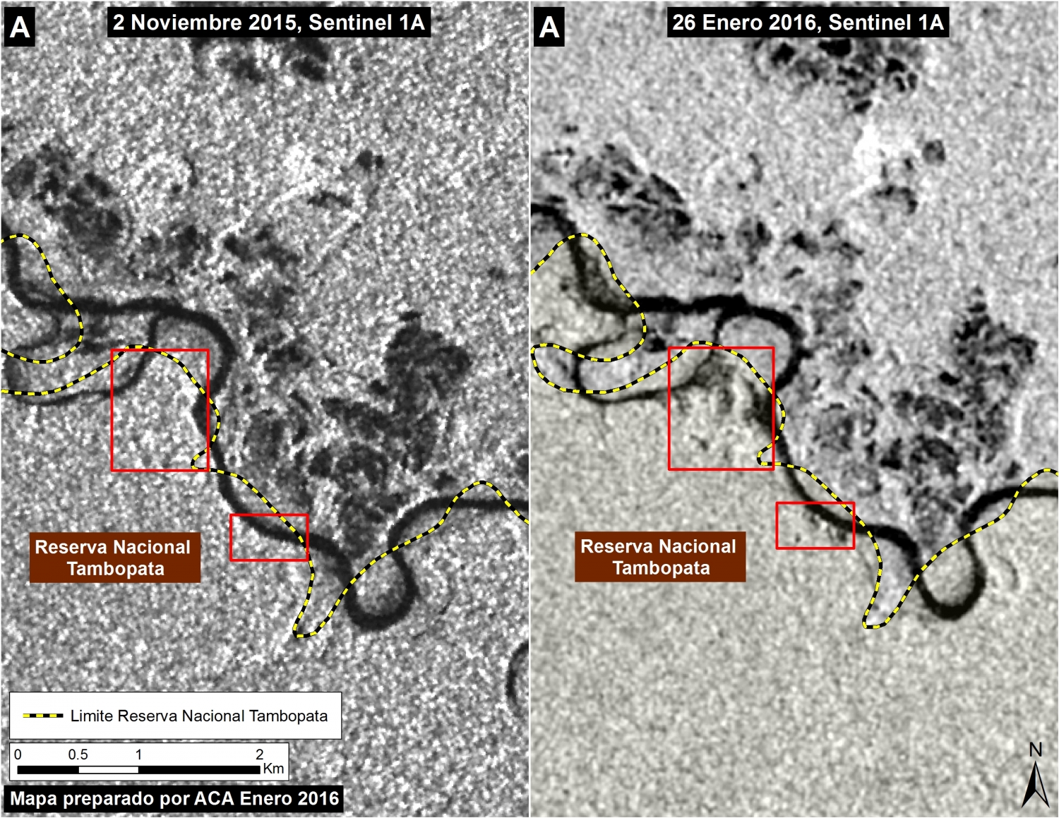 Imagen 24c. Imágenes radar mostrando la expansión de la deforestación al interior de la Reserva Nacional Tambopata entre noviembre de 2015 (panel izquierdo) y enero de 2016 (panel derecho). Datos: SERNANP, Sentinel-1