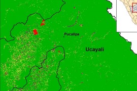 MAAP #32: Large-scale vs. Small-scale Deforestation in the Peruvian Amazon