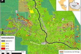 MAAP #28: Nuevo Hotspot de Deforestación a lo largo de la Interoceánica Sur en Madre de Dios