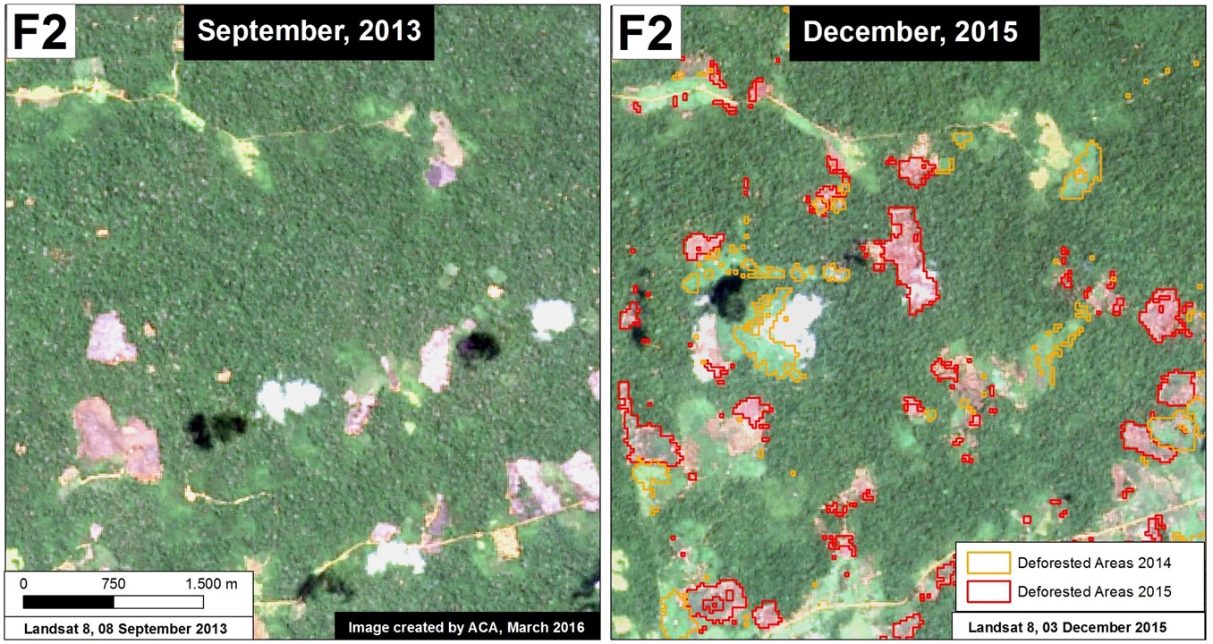 Image 28e. Data: USGS, PNCB/MINAM, UMD/GLAD