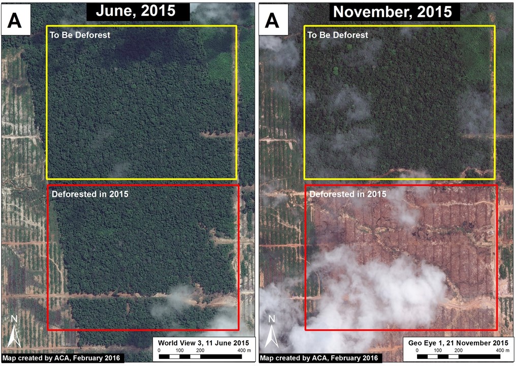 Image 27b. Data: WorldView-3 from Digital Globe (NextView).