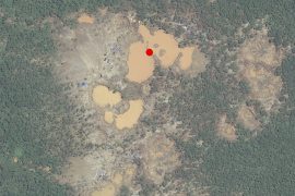 MAAP #31: Deforestación Continúa su Expansión en La Pampa (zona de amortiguamiento de la Reserva Nacional Tambopata)