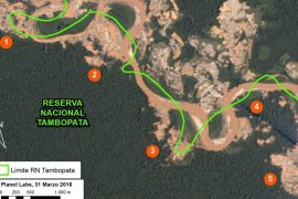 MAAP #30: Gold Mining Invasion of Tambopata National Reserve Intensifies