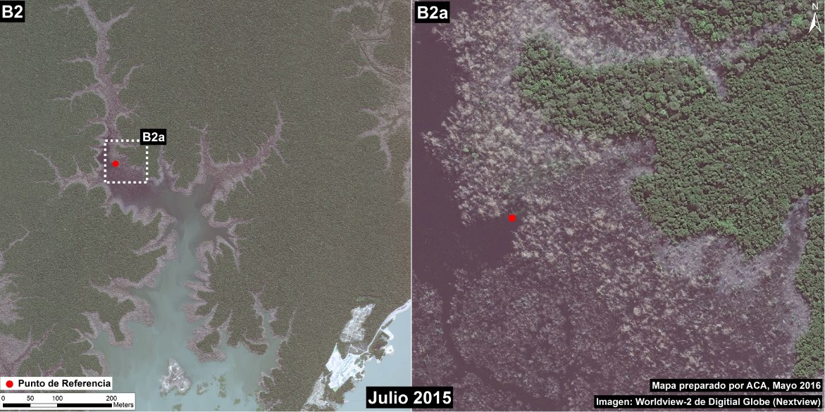 Imagen 33e: Vista de alta resolución de una parte de la zona inundada inmediatamente aguas arriba de la represa de Jirau. Datos: WorldView-2 from Digital Globe (NextView).