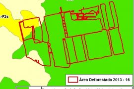 MAAP #38: Proyecto United Cacao se ubica en tierra clasificada como Forestal