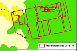 MAAP #38: United Cacao deforestation in area classified as “Forest Production”