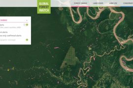 MAAP #40: Alertas Tempranas de Deforestación en la Amazonia Peruana