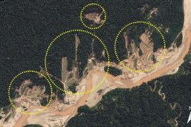 MAAP #43: Alertas Tempranas de Deforestación en la Amazonía Peruana, Parte 2