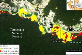 MAAP #46: Gold Mining Deforestation Within Tambopata National Reserve Exceeds 450 Hectares