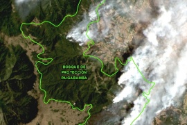 MAAP #51: Fires degrade 7 Protected Areas in northern Peru