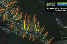 MAAP #63: Patterns of Deforestation in the Colombian Amazon