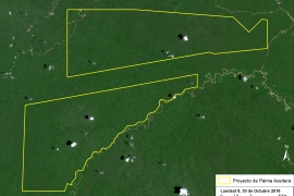 MAAP #64: Good News Deforestation Stories (Peruvian Amazon)