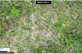 MAAP #70: Vientos Huracanados en los Últimos 13 años en Perú