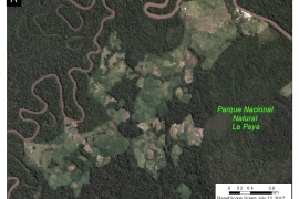 MAAP #77: HOTSPOTS DE DEFORESTACIÓN EN LA AMAZONÍA COLOMBIANA, PARTE 2