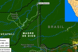 MAAP #76: Proposed Road would cross Primary Forest along Peru-Brazil Border