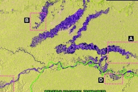 MAAP #79 – Seeing through the Clouds: Monitoring Deforestation with Radar