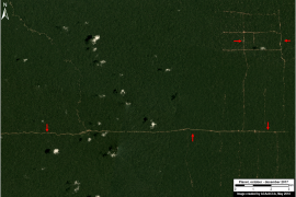 MAAP #85: Illegal Logging in the Peruvian Amazon, and how Satellites can help address it