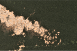 MAAP #87: Gold Mining deforestation continues in the Peruvian Amazon