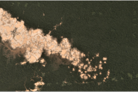 MAAP #87: La Minería Aurífera continúa deforestando la Amazonía Peruana Sur