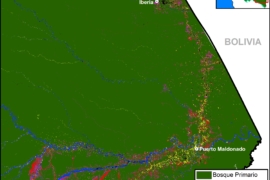 MAAP #93: Shrinking Primary Forests of the Peruvian Amazon