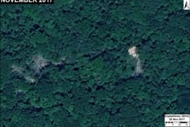 MAAP #94: Detecting Logging in the Peruvian Amazon with High Resolution Imagery