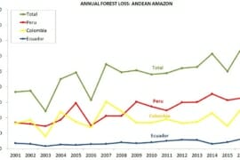 MAAP Synthesis #3: Deforestation in the Andean Amazon (Trends, Hotspots, Drivers)