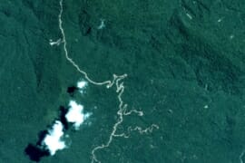 MAAP #99: Detecting Illegal Logging in the Peruvian Amazon