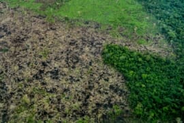 MAAP #101: Deforestation Continues in Colombian Amazon (2019)