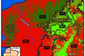 MAAP #102: Saving the Ecuadorian Chocó