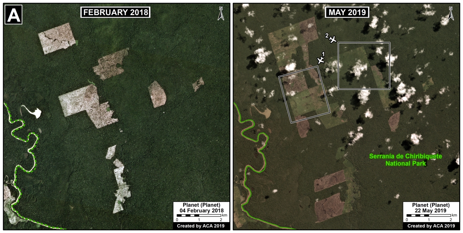 MAAP #101: Deforestation Continues in Colombian Amazon (2019) | MAAP