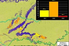 MAAP #104: Gran Reducción de Minería Ilegal en la Amazonía Peruana Sur por Operación Mercurio