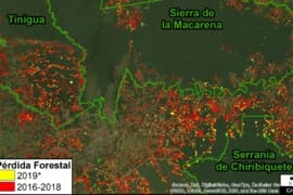 MAAP #106: La deforestación impacta 4 áreas protegidas en la Amazonía Colombiana (2019)