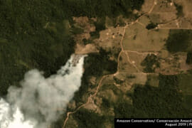 MAAP #107: Viendo los Fuegos de la Amazonía con Satélites