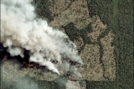 MAAP #110: Fuegos del 2019 después de la Deforestación del 2019 en la Amazonía Brasileña