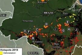 MAAP #109: Fuego y Deforestación en la  Amazonia Brasileña, 2019