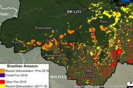 MAAP #113: Los Satélites Revelan qué impulsó los Fuegos en la Amazonía Brasilera